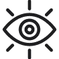 icon vision